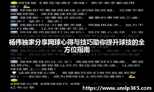 杨伟独家分享网球心得与技巧助你提升球技的全方位指南