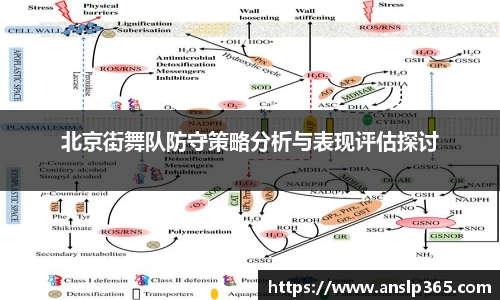 博鱼中国官方入口