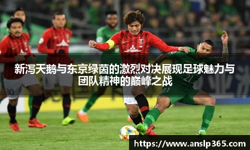 博鱼.boyu体育