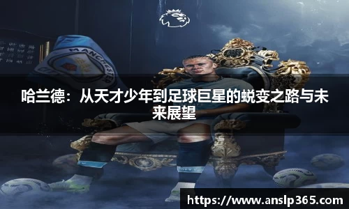 博鱼.体育官网