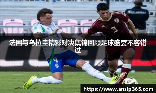 博鱼.boyu体育