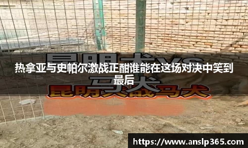 博鱼.boyu体育
