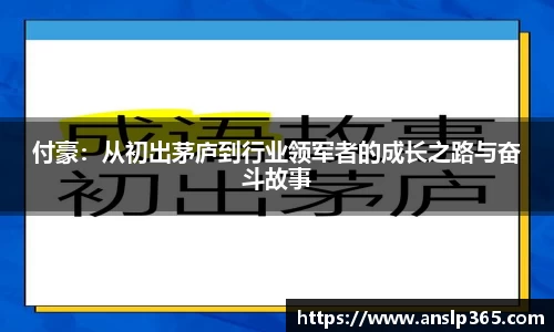 付豪：从初出茅庐到行业领军者的成长之路与奋斗故事